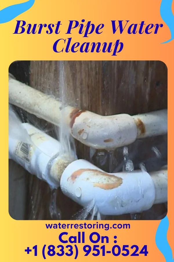 Burst Pipe Water Cleanup in Owasa, IA